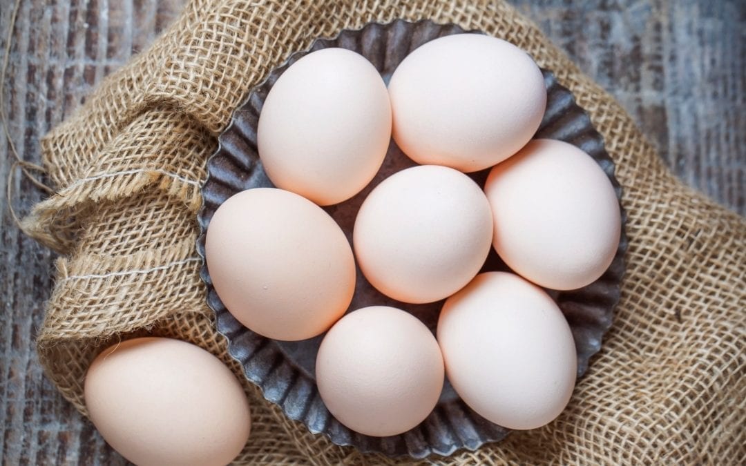 Nos oeufs de poules