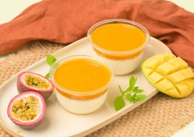 Panna cotta exotiques